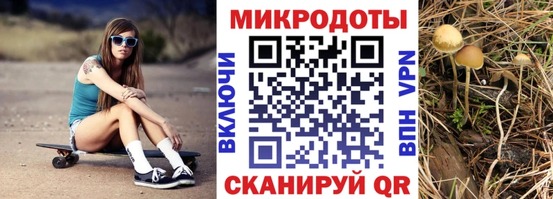 Псилоцибиновые грибы мицелий  закладки  Сафоново 
